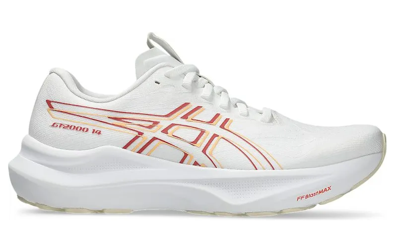 asics-gt-2000-2 1012B843-101