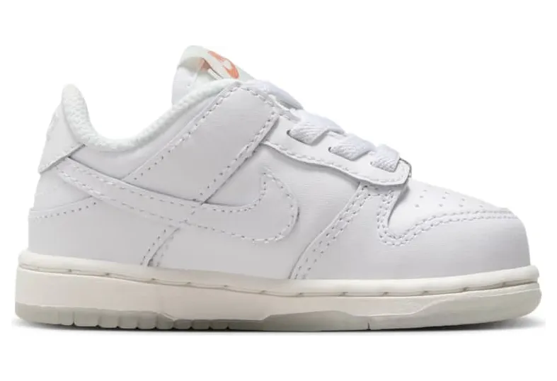 nike-dunk FQ1924-100