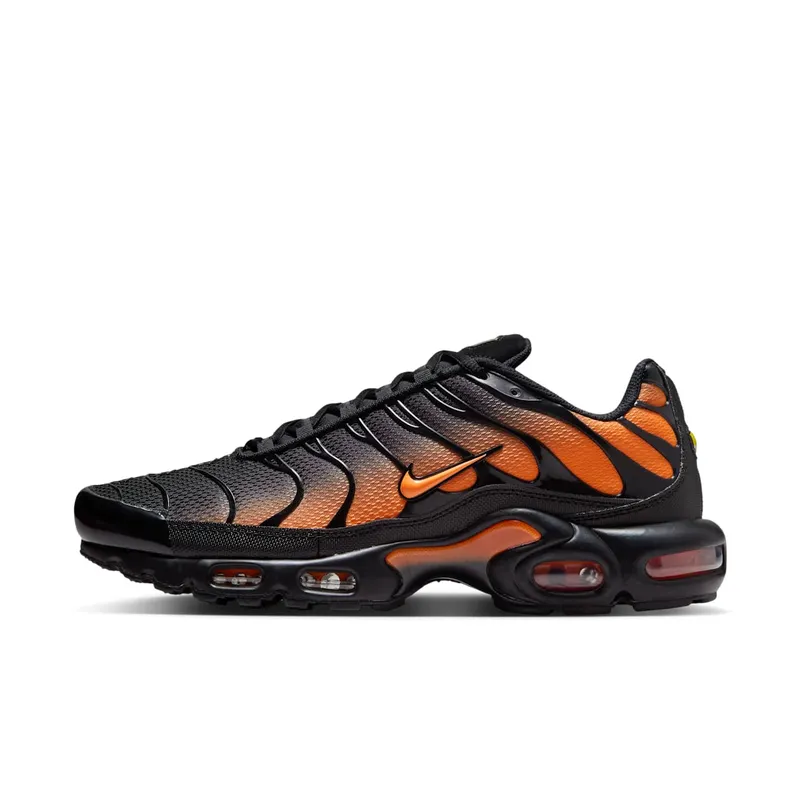 Nike Air Max Plus Black (DM0032-025)