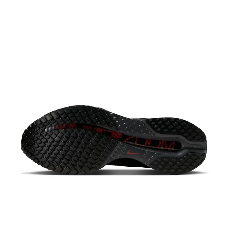 Nike Air Zoom Pegasus Premium Anthracite Black (HQ2592-011)