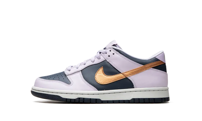 Nike Dunk Low SE Older Kids’ Blue (DX1663-400)