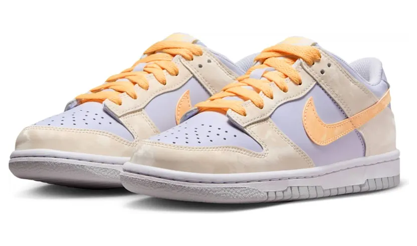 nike-dunk FB9109-100