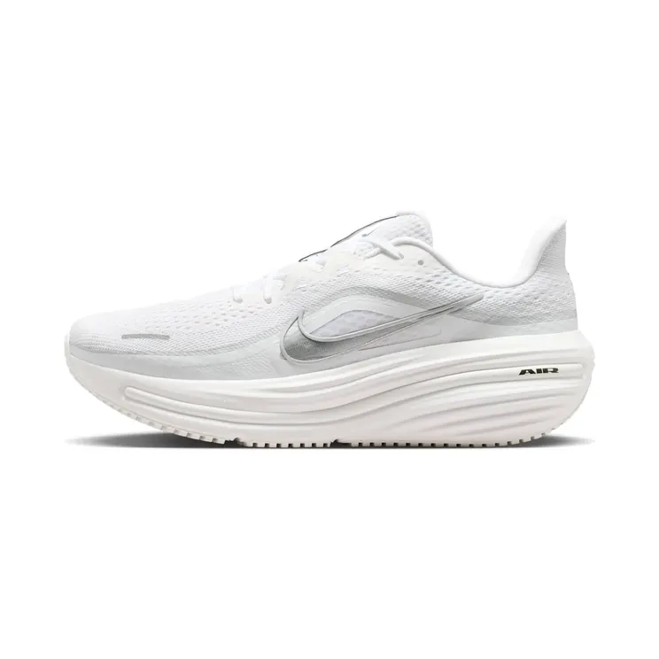 Nike Air Winflo 12 White Photon Dust Silver (HV9272-103)