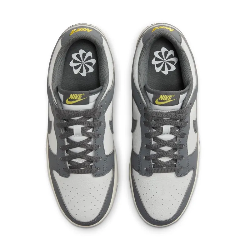 Nike Dunk Low Next Nature Iron Grey (FZ4621-001)