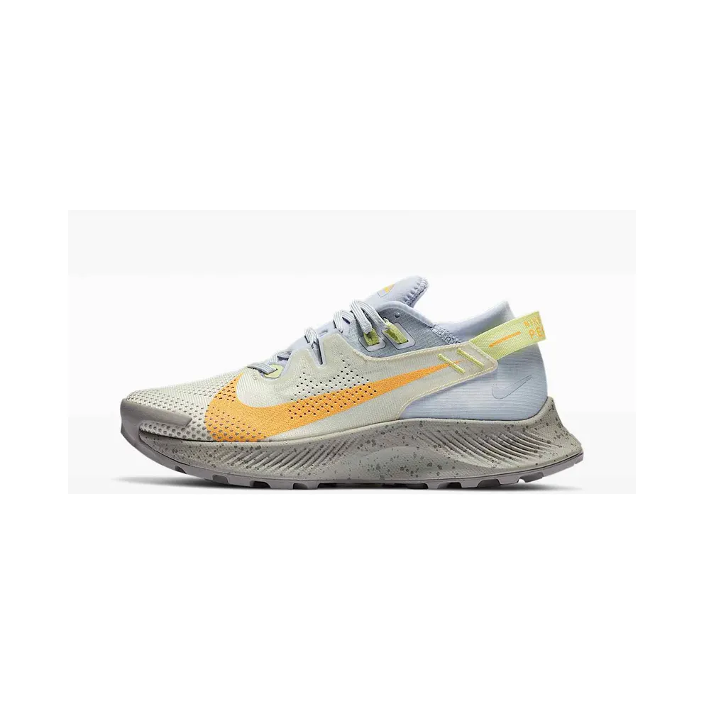 Nike Pegasus Trail 2 Grau (CK4309-001)