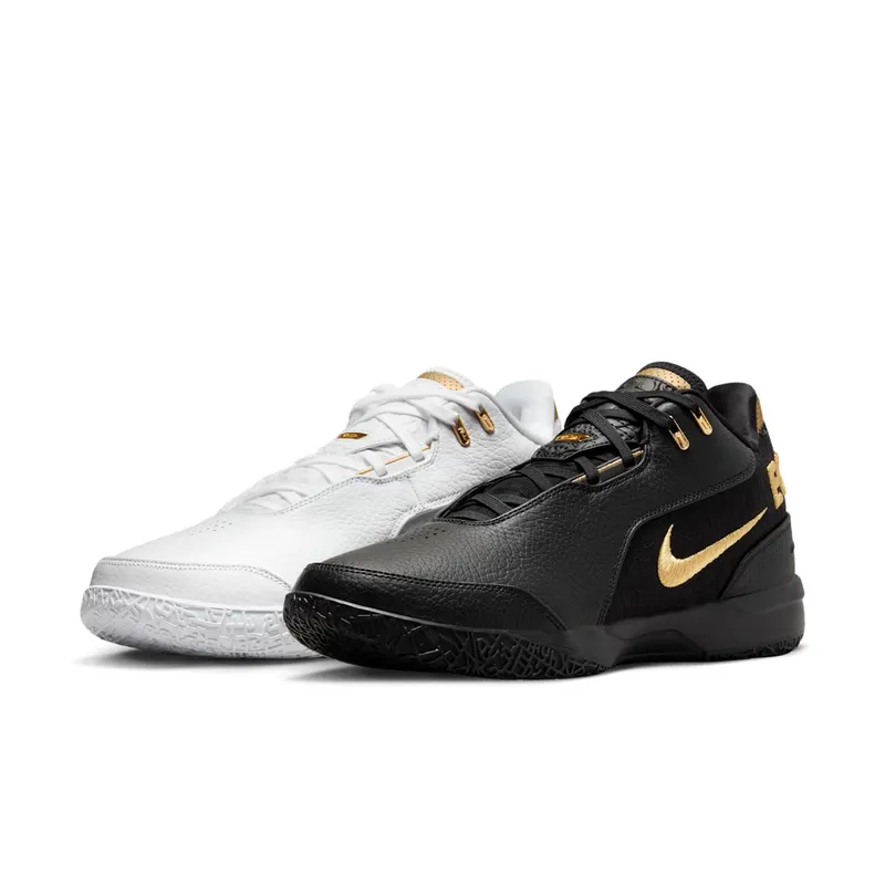 Nike Zoom LeBron NXXT Gen “Equity” (FJ1566-103)