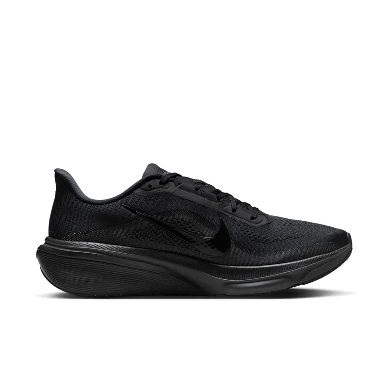 Nike Pegasus Black/Anthracite/Black (IB1873-003)
