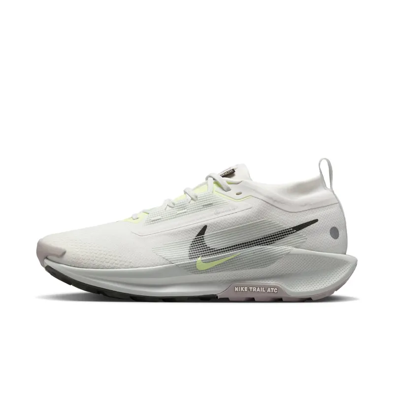 Nike Pegasus Trail 5 Gore-Tex Summit White Light Silver College Grey Sequoia (FQ0908-102)