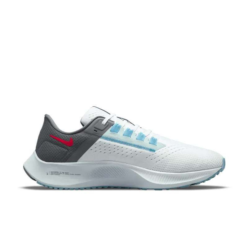 Nike Air Zoom Pegasus 38 Limited Editionen for Men Grey (DJ3128-001)