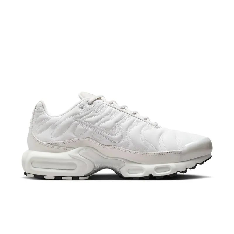 Nike Air Max Plus Platinum Tint/Dark Smoke Grey/Metallic Silver/Platinum Tint (FZ4342-001)