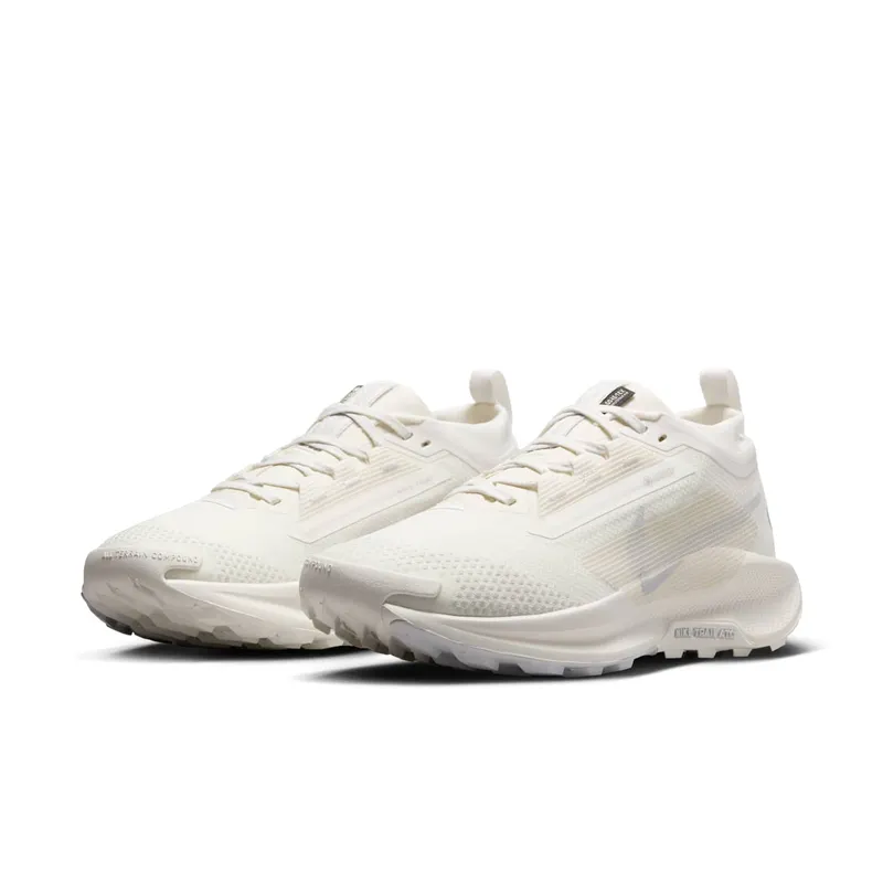 Women's Shoes Nike Pegasus 5 Gore-tex FQ0912-102