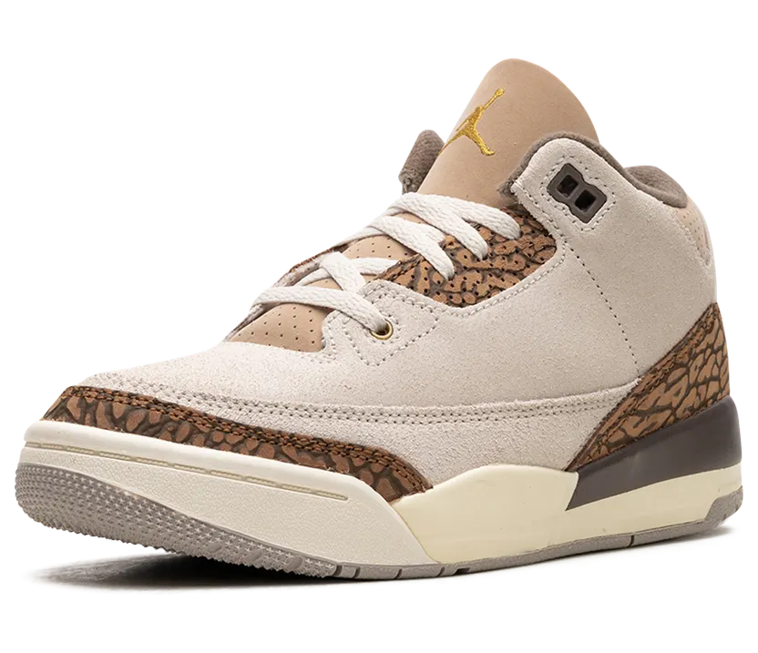 air-jordan-3 DM0966-102