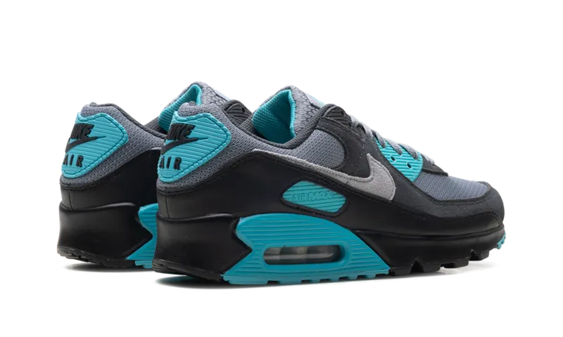 Nike Air Max 90 “Dusty Cactus” (DM0029-013)