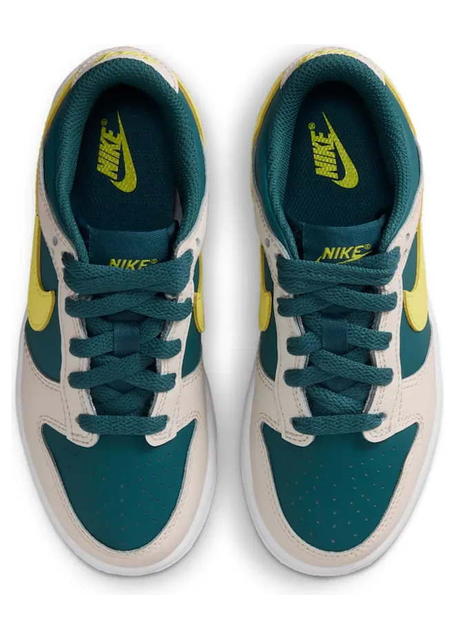 nike-dunk FB9108-303