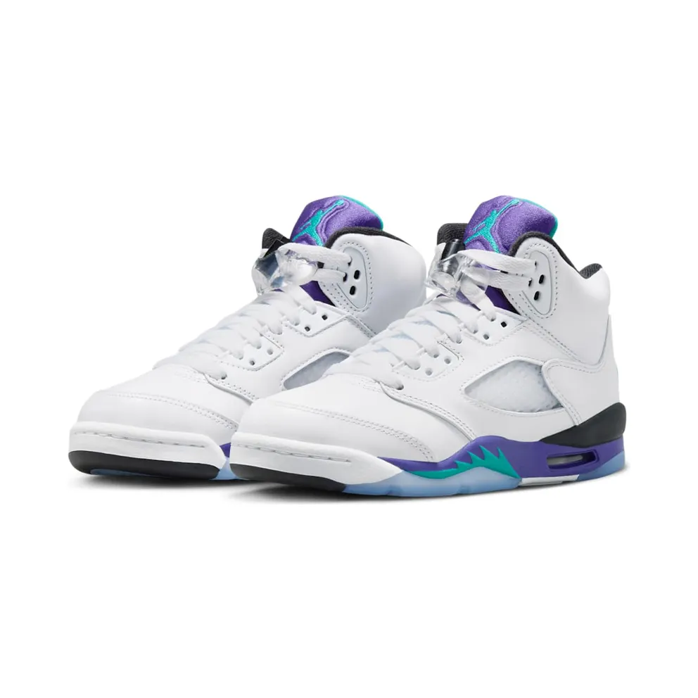 Air Jordan 5 Retro GS “Grape” (HQ7980-100)