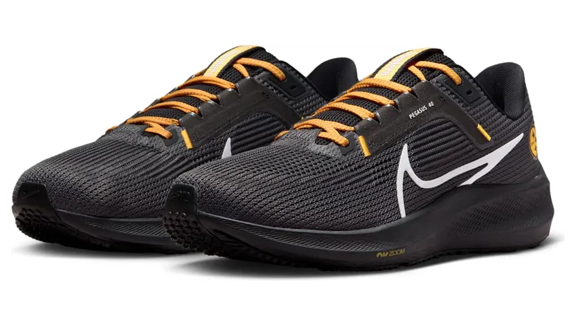 nike-air-pegasus DZ6006-001