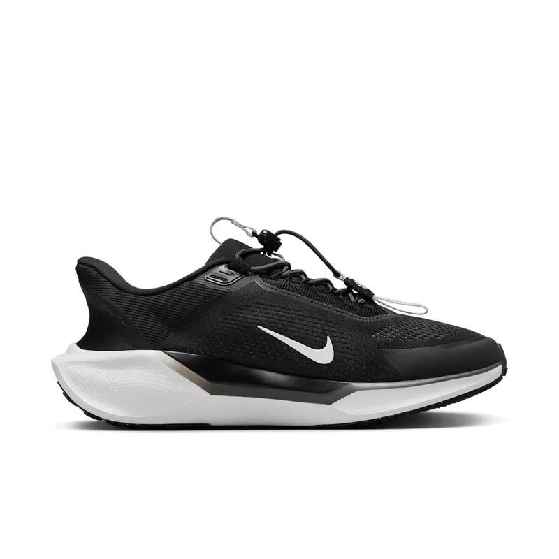 Nike Air Zoom Pegasus 41 EasyOn Black Anthracite Photon Dust White (FQ7844-002)