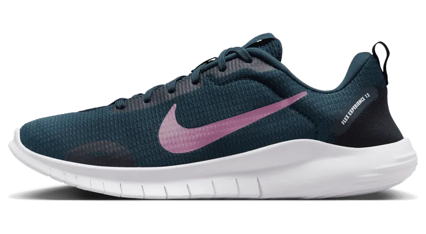 Nike Flex Experience Run 12 Armory Navy Black Football Grey Plum Dust (DV0746-401)