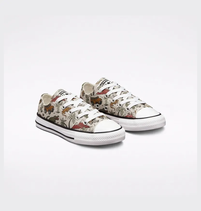 converse-chuck-taylor-all-star A02453C