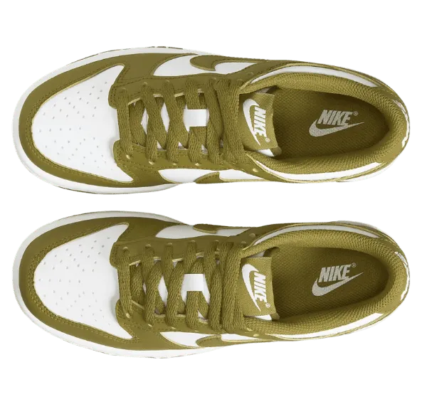 nike-dunk FB9109-108