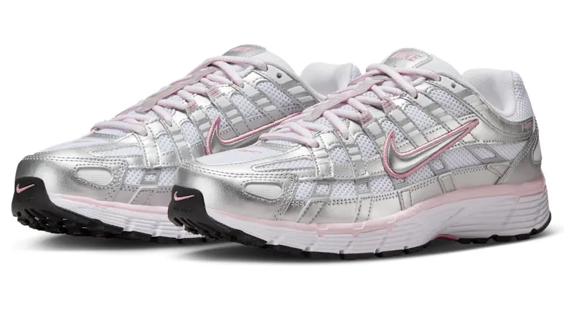 nike-p-6000 BV1021-108