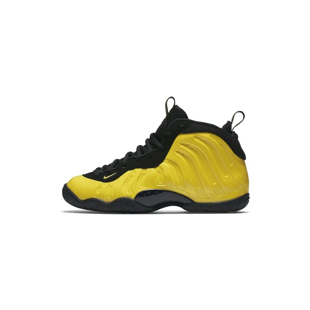 Nike Air Foamposite One Wu-Tang (GS)