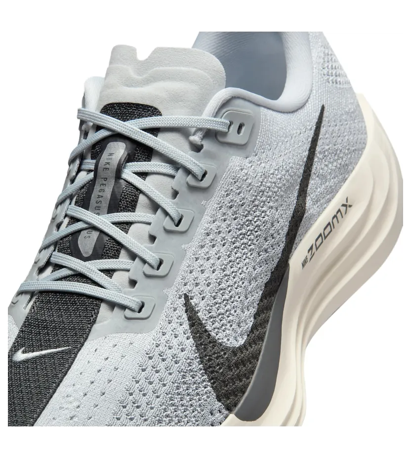 nike-air-pegasus FQ7262-017