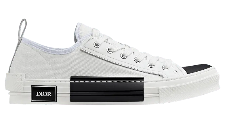 Dior B23 Low White Canvas