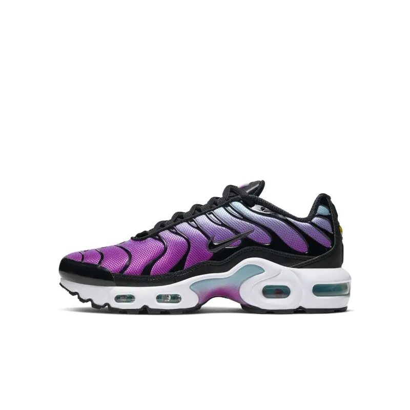 Nike Air Max Plus Gradient Purple Black (GS) (CD0609-300)