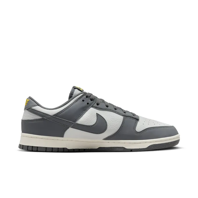 Nike Dunk Low Next Nature Iron Grey (FZ4621-001)