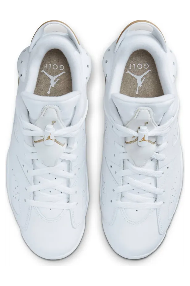 air-jordan-6 DV1376-100