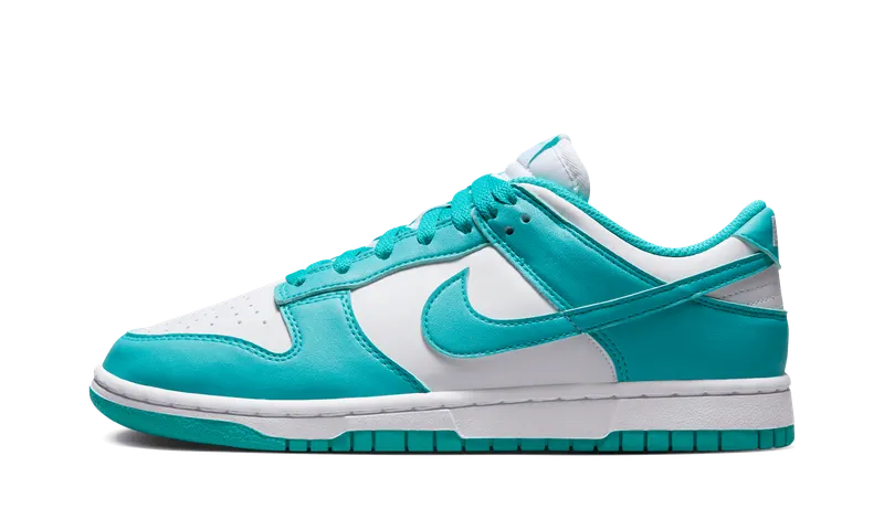 Nike Dunk Low Next Nature “Dusty Cactus” (DD1873-105)