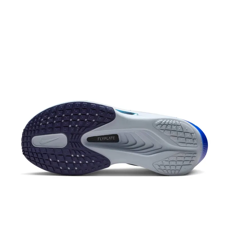 Nike Zoom Fly 6 Blue (FN8455-401)