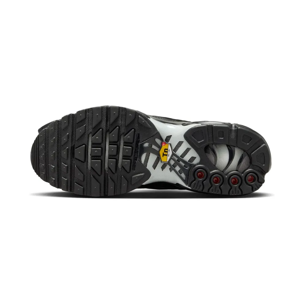Nike Air Max Plus Black/Anthracite/Sail/Black (FV1169-001)