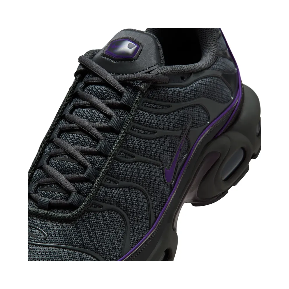Nike Air Max Plus OG Iron Grey Wild Grape (HV8066-001)
