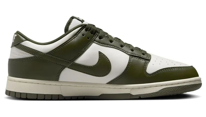 nike-dunk HF5441-102