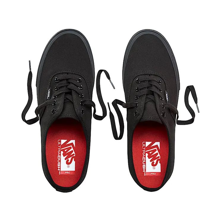 vans-authentic-pro VN000Q0DBKA
