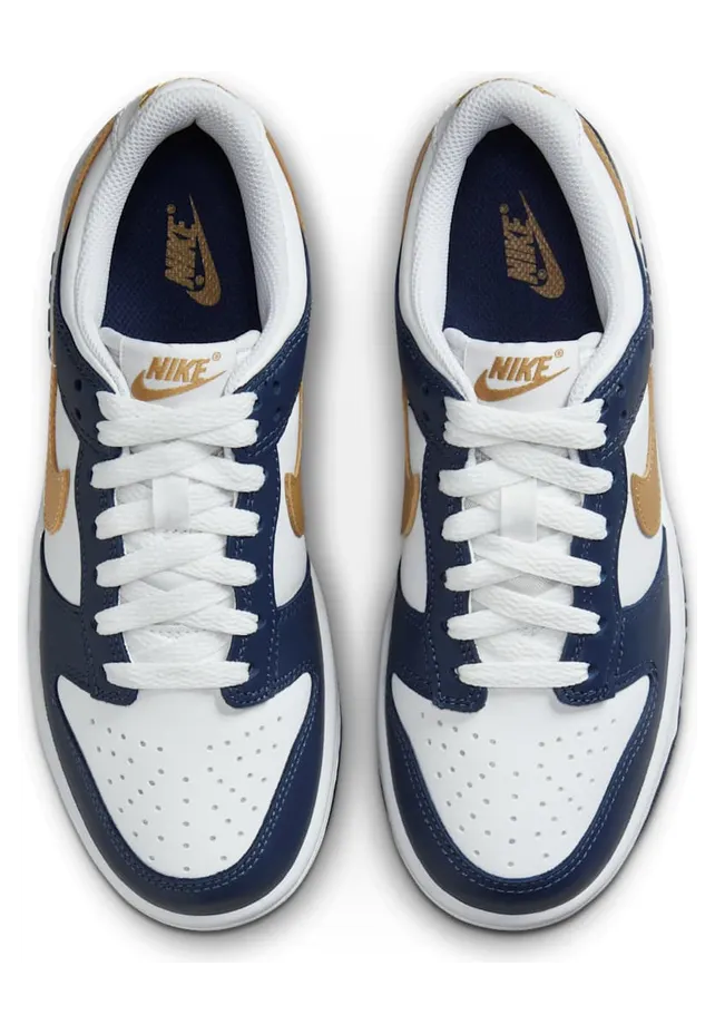 nike-dunk FB9109-111