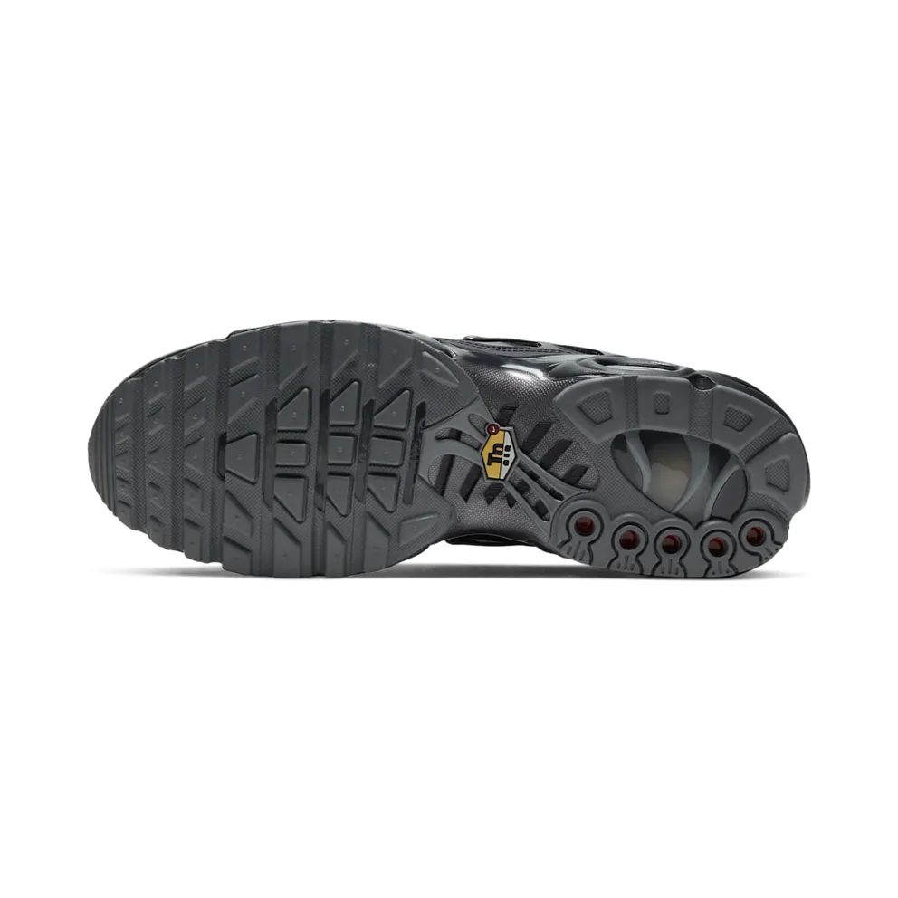 Nike Air Max Plus Black (DH4100-001)