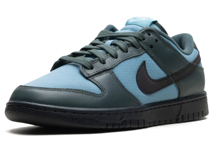 nike-dunk FZ3052-300