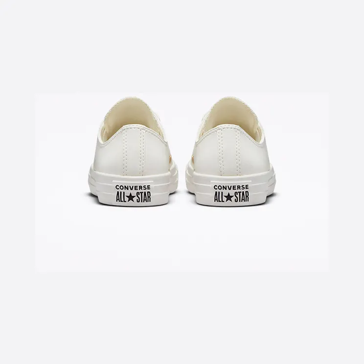 converse-chuck-taylor-all-star A02609C