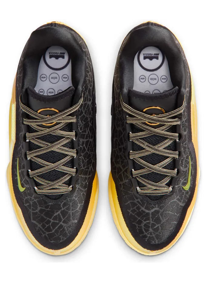 nike-lebron IX4878-005