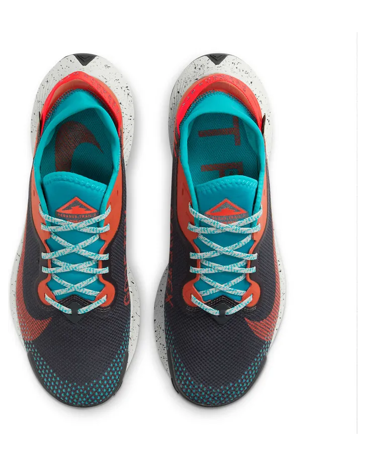 nike-air-pegasus DH0202-001