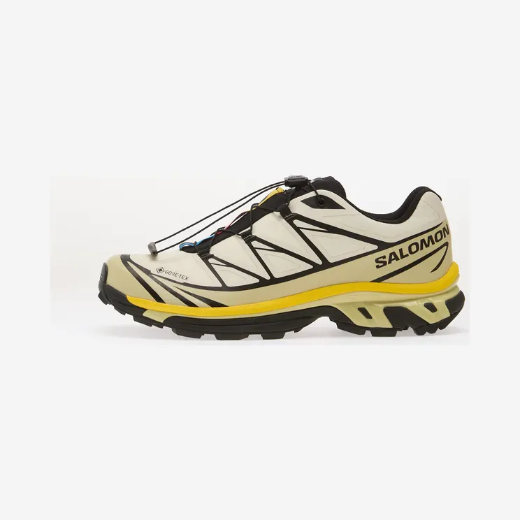 Salomon XT-6 Gore-Tex Vanilla Ice Bog Shadow Green