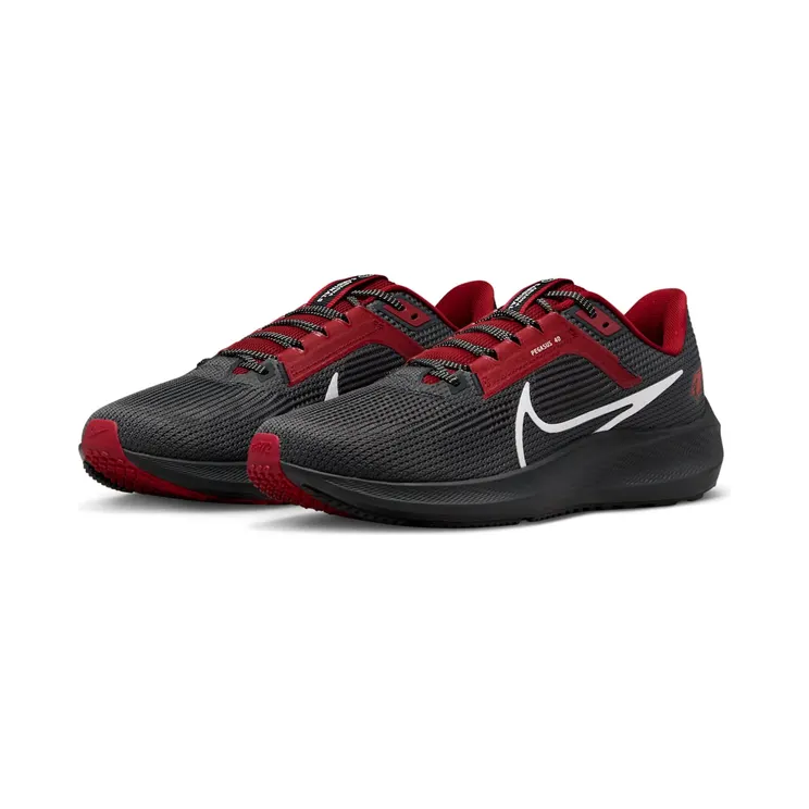 nike-air-pegasus DZ5994-001