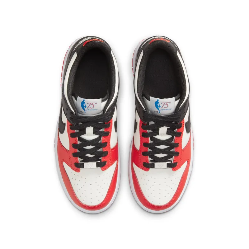 Nike Dunk Low EMB NBA 75th Anniversary Chicago (GS) (DO6288-100)