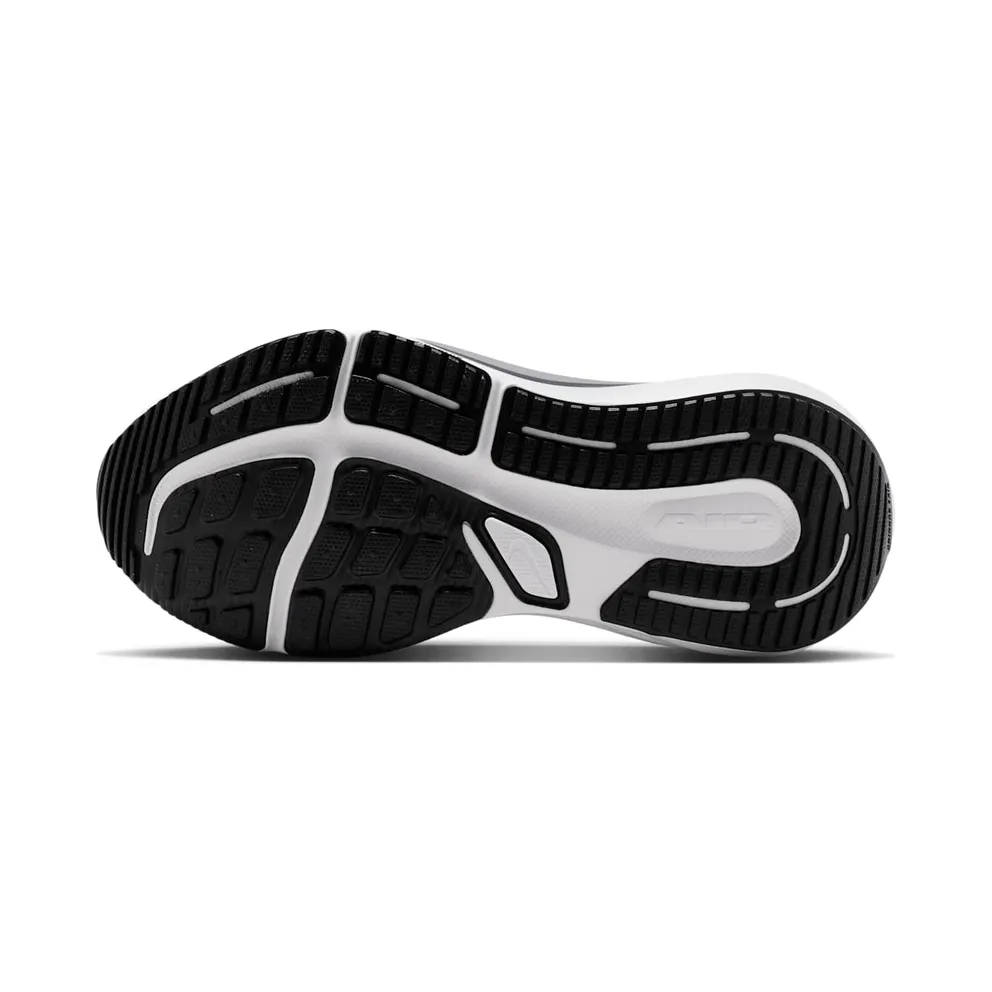 Nike Winflo 12 Black (HV9273-002)