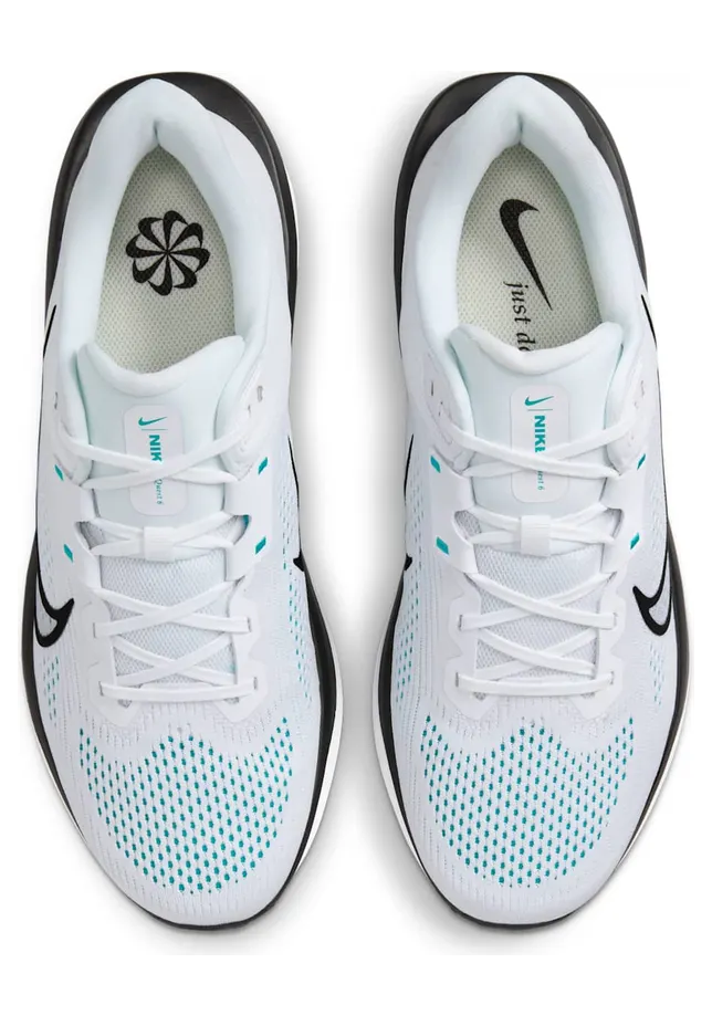 nike-quest-6 FD6033-105
