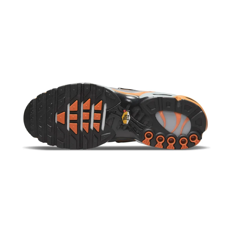 Nike Air Max Plus Grey (DM0032-001)