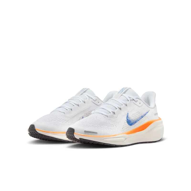 Nike Air Zoom Pegasus 41 FP Easy On Blueprint Pack (HM4820-100)